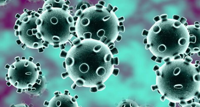 New Drug Cocktail Successfully Treated Coronavirus