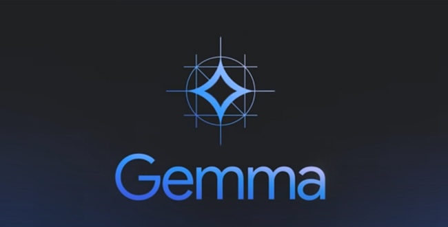 Gemma 3n