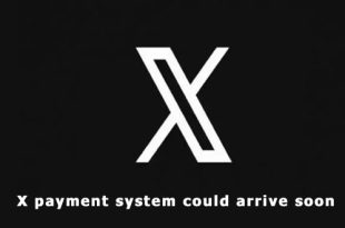 X Payment Elon Musk